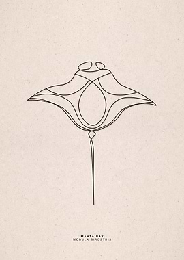 line art manta ray