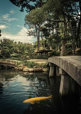 Japan Koi Fish Garden