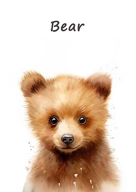 Bear Baby