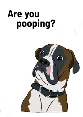 Dog Are You Pooping