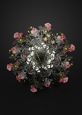 Ixia Longiflora Wreath