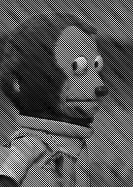 monkey puppet not me 1