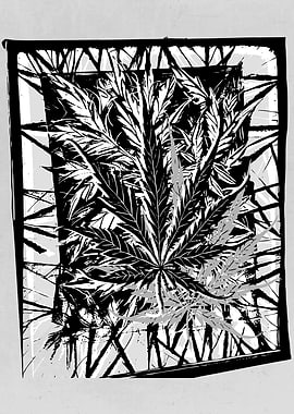 Abstract Weed