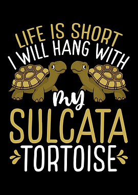 Turtle Mom Reptile Owner