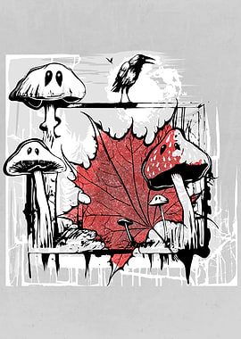 Autumn Mushrooms Forest