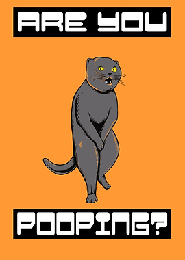 Cat are you pooping