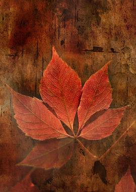 Red leaves grunge texture
