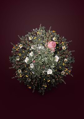 Dwarf Damask Rose Wreath