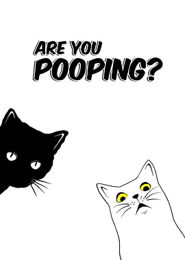 Black cat are you pooping