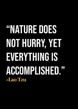 Lao Tzu Quote