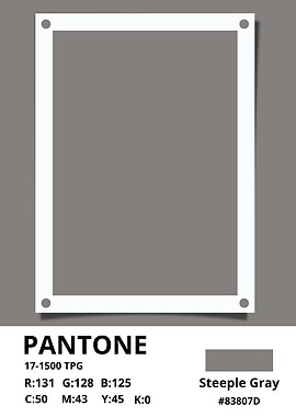 color pantone steeple gray