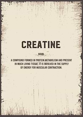 creatine