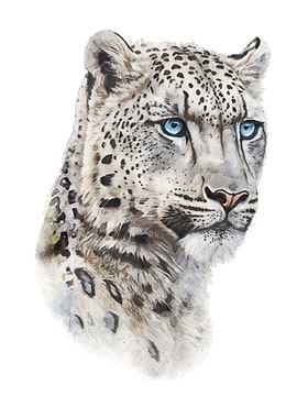 Snow Leopard Watercolor