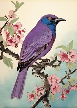 Hawaii Honeycreeper