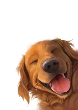 Peekaboo Golden Retriever