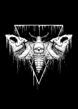 Skull Moth