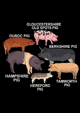 Pig Breeds Pig Lover Gift