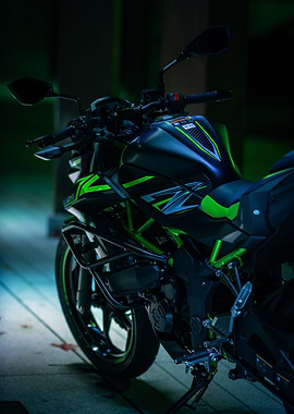 Kawasaki Z 125 Motorcycle