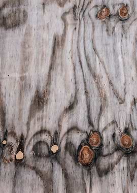 wood textured abstract