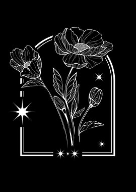 Poppy Flower Poppy Flora