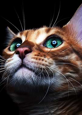 cat deep sea green eyes
