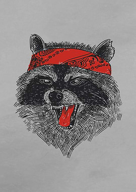 Angry Bandana Raccoon
