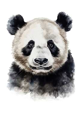 Panda Bear Watercolor Art