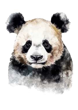Panda Bear Watercolor Art