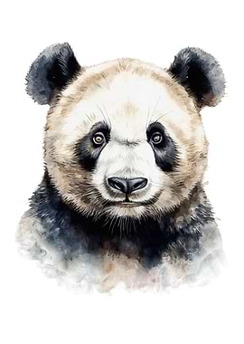 Panda Bear Watercolor Art