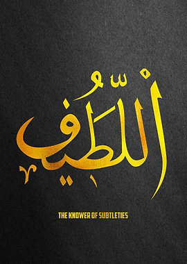 The knower of subtleties