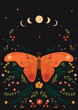 Phases Moon Butterfly