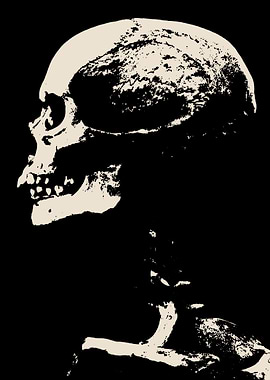 Skull