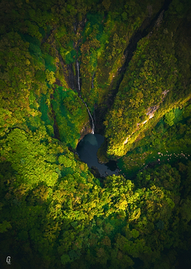 Secret Tropical Sanctuary