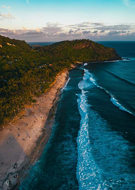 Tropical Tranquility