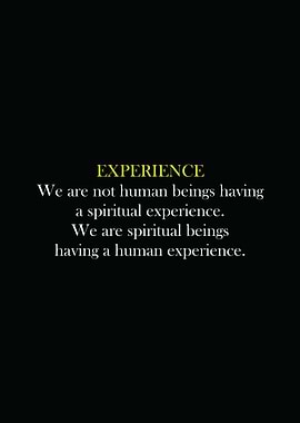 EXPERIENCE