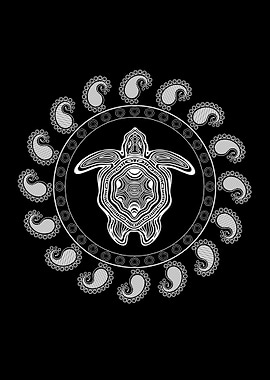 Turtle Tortoise Picture