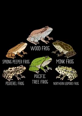 Amphibian Frog Species