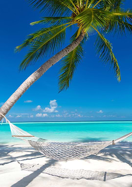 hammock on the beach