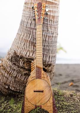 Uturere on coconut tree