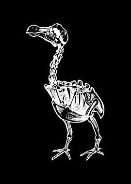 Dodo Skeleton Bird Design