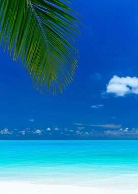 beach blue and turquoise