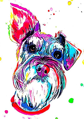 Schnauzer