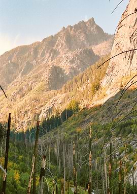 Washington Mountains PNW