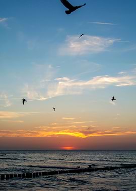 The Sunset over the sea