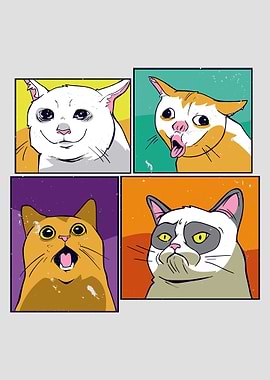 Cat Memes