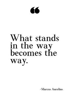 Marcus Aurelius Quotes Art