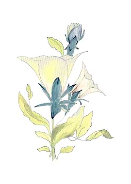 some painted flowers s 6e