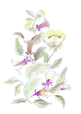 some painted flowers s 5d