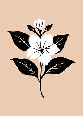 Jasmine Flower