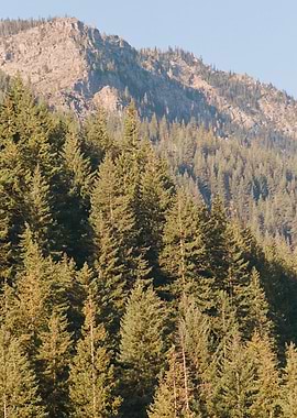 PNW Mountain Landscape